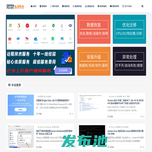 数据运维技术-数据库 服务器 网站 数据恢复 MySQL ORACLE  SQLServer