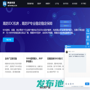 武汉网盾科技-高防服务器|高防IP|VPS云主机|WAF防火墙|武汉服务器租用|湖北武汉IDC公司|武汉网络安全公司