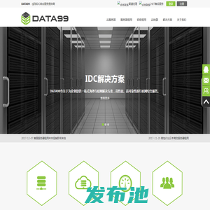 美国服务器_美国服务器租用_香港服务器_香港服务器租用-DATA99-全球IDC综合服务提供商